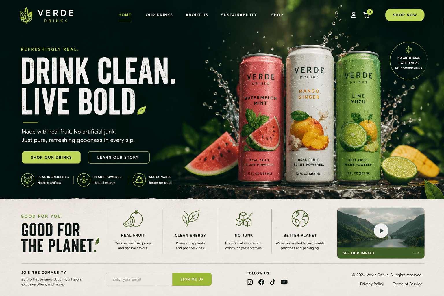 Website Design 3